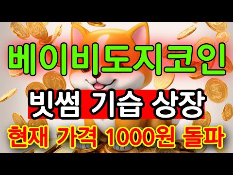   베이비도지코인 빗썸 거래소 기습 상장 Babydogecoin 도지코인 시바이누코인 플로키코인 베이비도지코인전망