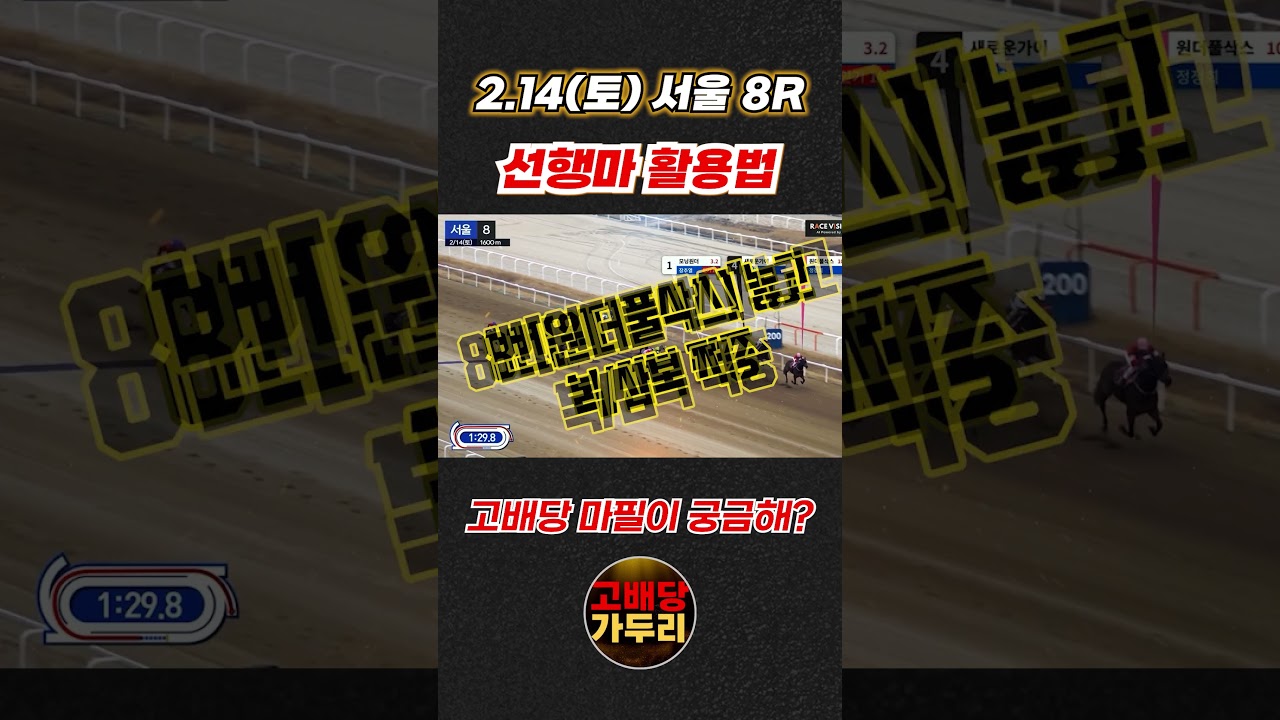 고배당 마필이 궁금해???