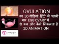 OVULATION का 3D वीडियो हिंदी में पहली बार EGG OVARY में से कब और कैसे निकलता है 3D ANIMATION