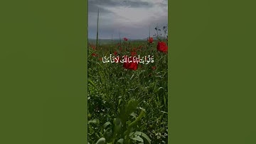 📖 تلاوة خاشعة تبكي القلوب | قالوا يا أبانا ما لك لا تأمنا | الشيخ محمد صديق المنشاوي