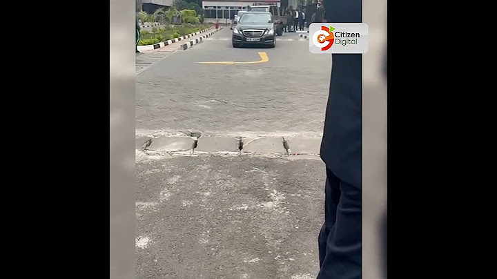 MPs leave Parliament Buildings as protests rock Nairobi CBD