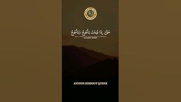 سورة الأنبياء الآية 95-100 تلاوة الشيخ شريم