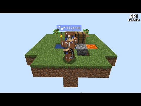 Nouvelle aventure Skyblock en 1.16.5 ! - Episode 1 Excalia Dionysos