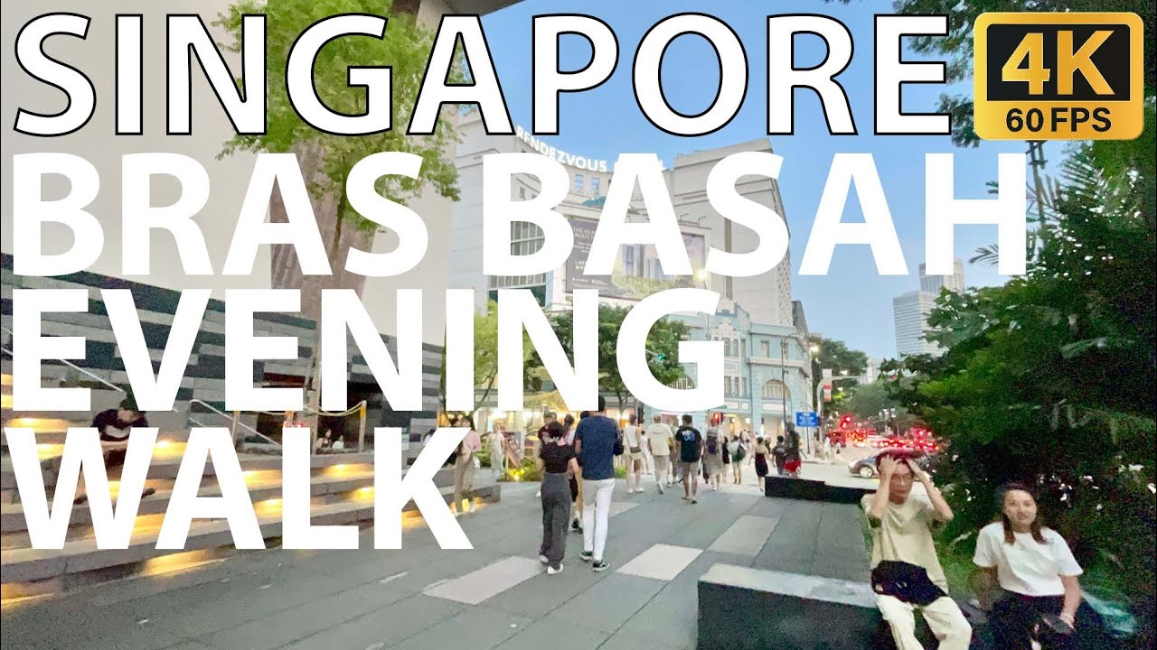 🇸🇬 Bras Basah Road Evening Walking Tour [4K 60fps] YouTube