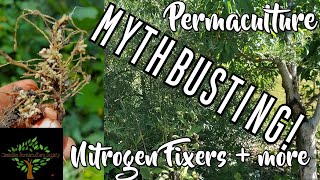 Expert section  MYTHBUSTING  Nitrogen fixers and Deep Tap Rooted Nutrient Accumulators