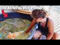 Catching all of my aquarium fish from mystery pond