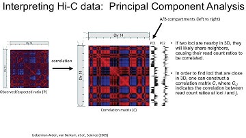MCB 182 Lecture 10.5 - Visualization of Hi-C data, bias in the Hi-C assay