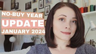 WIN or FAIL? My 2024 no-buy year update: January recap