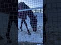 2026年2月 寒さに順応中のライラックの様子