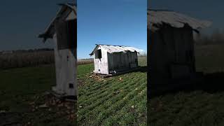 Pumpkin Patch Hayride.. A-Maze-N Clown Pumpkin Patch #Shorts