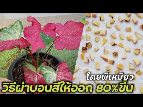 ผลสลากกินแบ่งรัฐบาล วันที่ 1 พย. 2567 ผลสลากกินแบ่งรัฐบาล วันที่ 1 พย. 2567