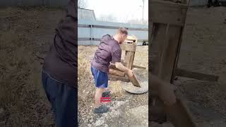 Сносим будку собаки #dimon #будка #рекомендации #рек #собака