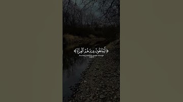 الذين يتخذون الكافرين أولياء من دون المؤمنين أيبتغون عندهم العزة فإن العزة | الآية 139 #ياسر_الدوسري