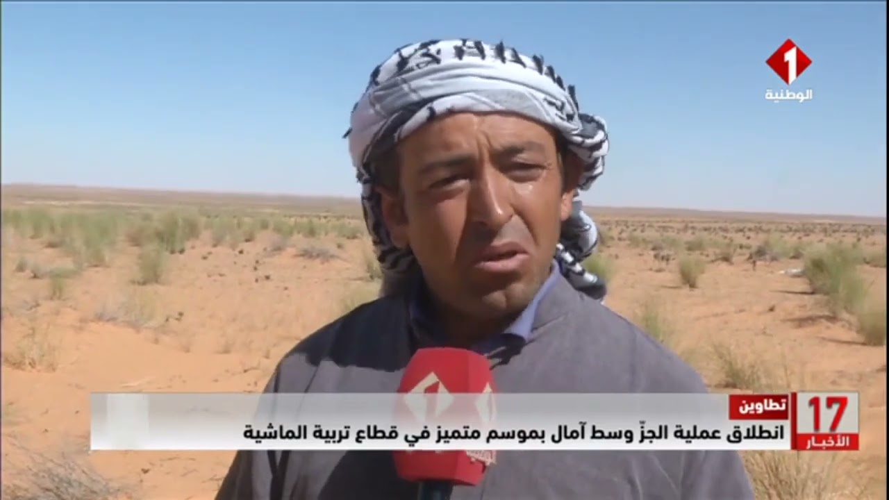 موسم الجز تطاوين