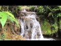 Sons da Natureza - Cachoeira Natural (1 hora) - Para Relaxamento, Meditação, Dormir ou Estudar