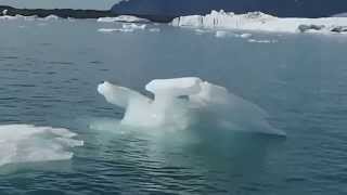 1040915冰島傑古沙龍冰河瀉湖乘船遊1