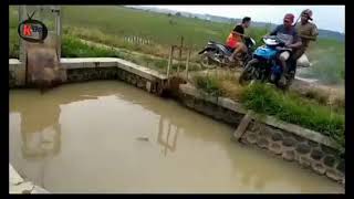 Video lucu durasi 10 detik.