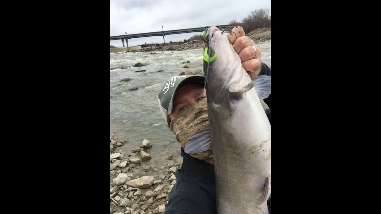 Kaw River Bank Catfish // KS USA YouTube