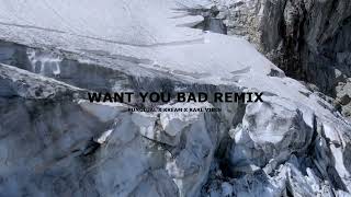 Punctual X KREAM - Want You Bad (KARL VIBIN Remix)