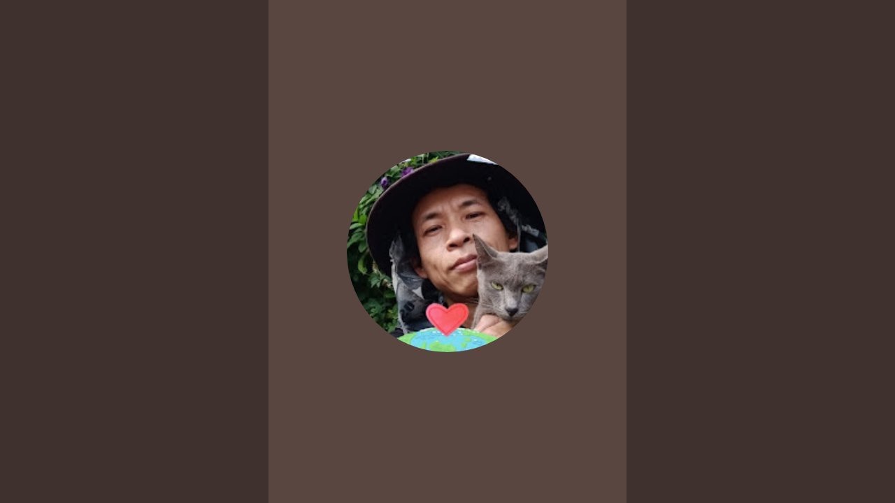 ปลูกผัก รักแมว