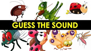 Guess the Insect sound | Sound Quiz | insects