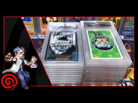 TCC RETURNS - LATE NIGHT POKEMON CARD OPENINGS | Pokemon Card Stream