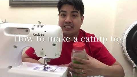 How to make catnip toys