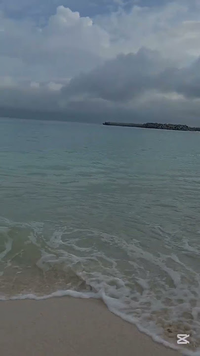 Urada Beach in Tanegashima ISLAND #music #relaxingmusic #ihavethisthingwithplants