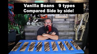 Comparing 9 types of Vanilla beans side by side!