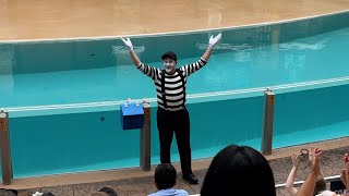 Rob the Mime at Seaworld Orlando Full Show