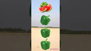 Rounding Simla Mirch To Gs, Mango, Lichi & Watermelon - Fruits Names Magic Video