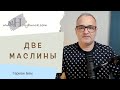 Две маслины. Два свидетеля книги Откровение (Откровение 11 глава) | Проповедь. Герман Бем