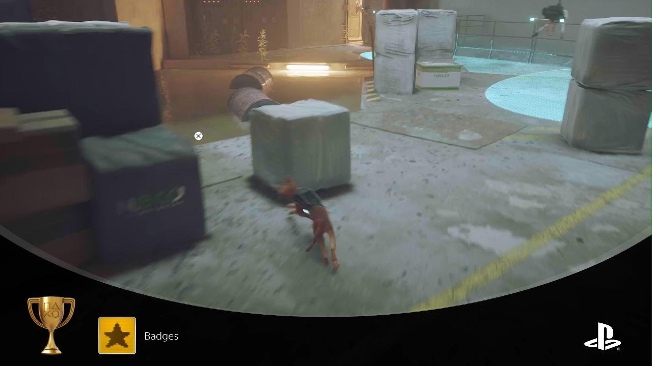 Stray - Badges Trophy 🏆 (Gold)