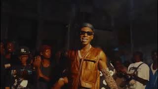 L'Oiseau Rare feat @donzerofficiel  -  NGOZÉ SISIA (  Video )