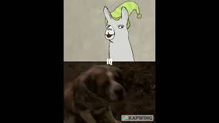 Carl Llamas With Hats Vs. Cujo Cujo