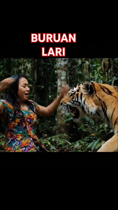 MACAN LORENG MERESAHKAN 🐯 #aneh #binatang #horor #hutan #harimau #hutanangker #harimaujawa #loreng