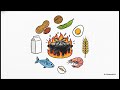 Food Allergens & Allergies