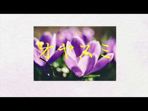 [オヤスミ]MANSION PARK/prod.B monumen./epe freaks.Min@.