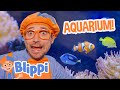 Blippi Visits the Marine Animals of the Aquarium of Boise! | Blippi Full Episodes