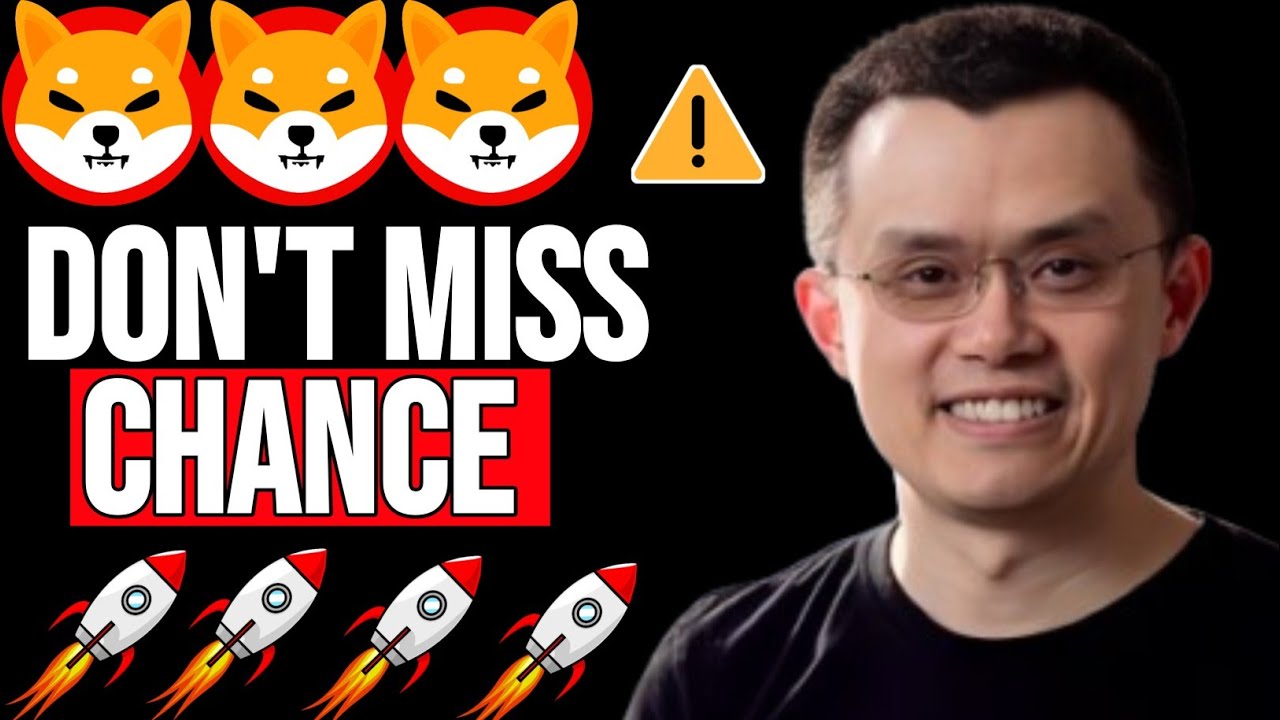 План утек! Сиба-ину бьет все рекорды в этом месяце! - Новости о монетах сиба-ину сегодня