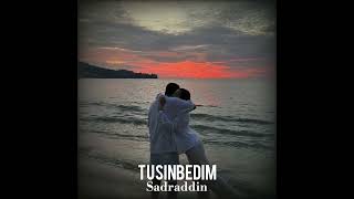 Sadraddin- TUSINBEDIM minus (текст описаниеда)