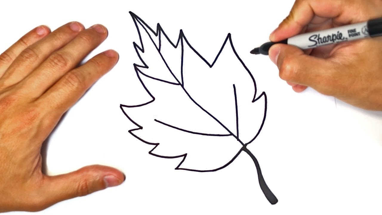 How To Draw A Leaf Beautiful Leaf Pencil Drawing Step By Step | My XXX ...