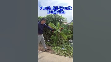 đất rẻ gò dầu, tây ninh. #batdongsan #nhadep #automobile