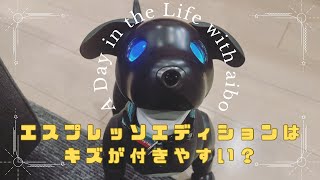 Does the aibo espresso edition scratch easily?【Episode 016】