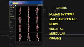 After Effects Adobe premiere  Medical Constructor