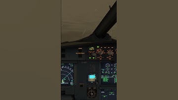 Autoland in 100 meters of Visibility || MSFS 2024