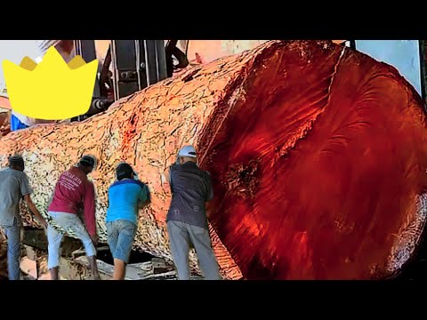 Kaya Gibi || Dünyanın En Sert Ağaç Dallarını Kesmek || kereste fabrikası