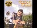 Celso Piña recopilacion exitos No. 2