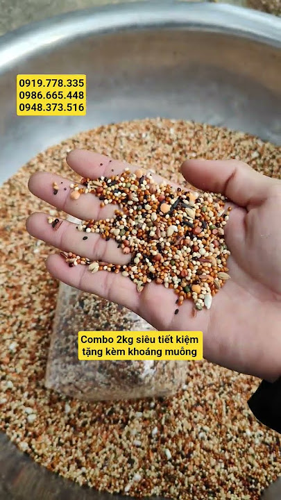 Ngũ cốc chim cu gáy tặng kèm muỗng và khoáng #ngucoccugay #ngucocchocugay #ngucocchimcugay