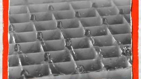 Faraday instability on a network